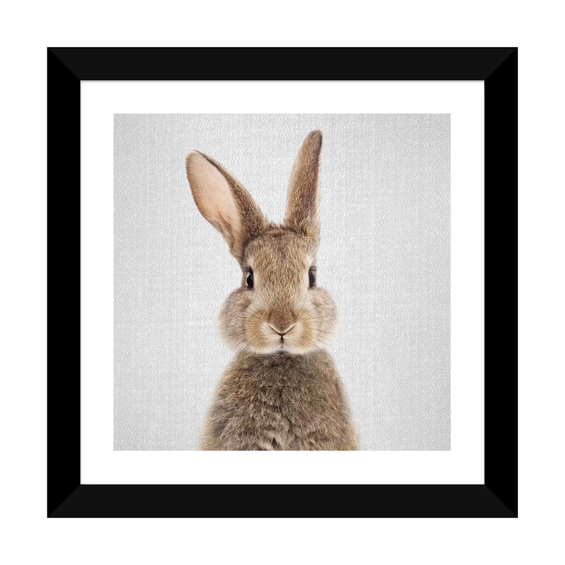 «Rabbit» - reproduction de photo, H 24 po x l 24 po x p 1 po, Papier blanc