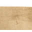 Hand Knotted Area Rug in Gold