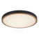 Ceiling light