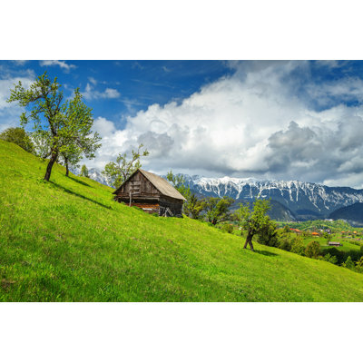 " Spring Alpine Landscape "