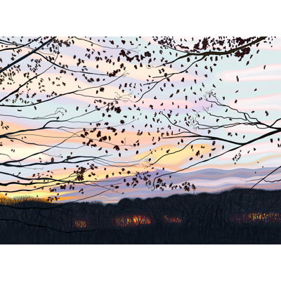Hawk on Branch, Prospect Park Framed Print