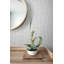 Rouleau de papier peint lisse L 33 pi x l 20,5 po Noyes-688355274