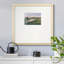«Spring Marsh Ipremium», reproduction encadrée-87968279-106007491