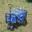 Chariot de plage pliable-123509948