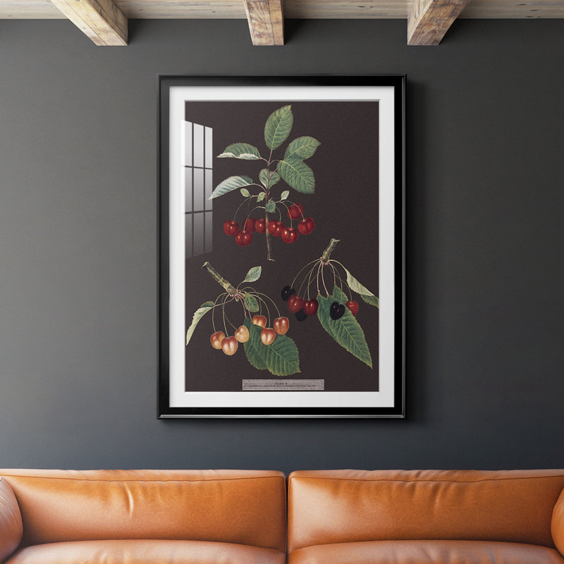 Brookshaw Cherries, reproduction encadrée de qualité supérieure, H 42,5 po x l 30,5 po x P 1 po, Noir