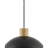Liese Pendant
