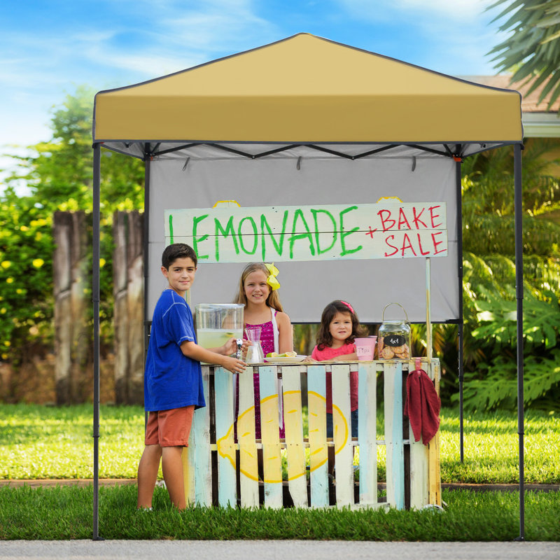 6 Ft. W x 4 Ft. D Outdoor Pop Up Metal Canopy Portable Instant Tent with Adjustable Sunwall, Beige