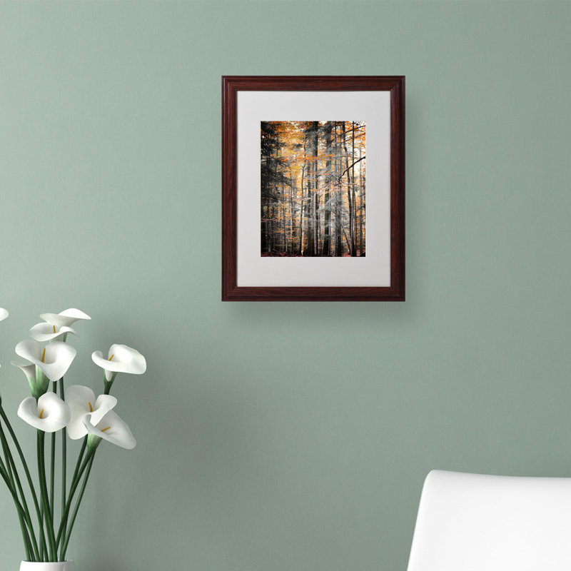 « tons », reproduction de photo sur toile encadrée Halke, H 20 po x l 16 po x P 0,5 po, Noir