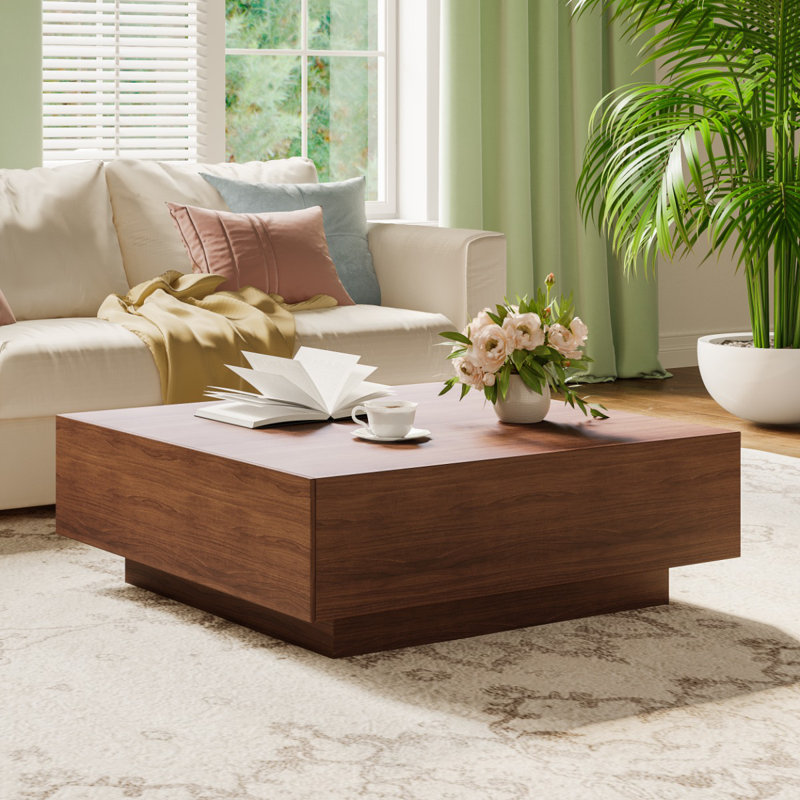 Table basse carrée à 2 tiroirs Cristyle, Brun, H 13,78 po x L 35,43 po x l 35,43 po