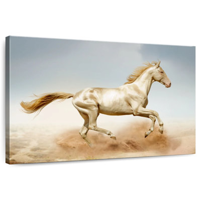 Running Akhal Teke Horse