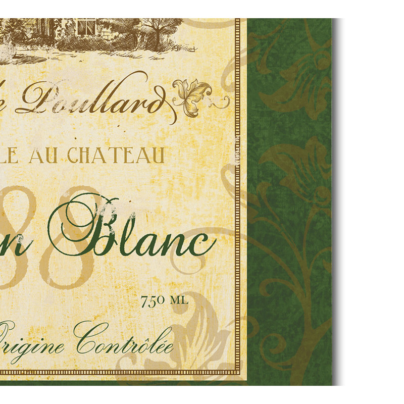 Fiona Stokes-Gilbert Green Framed Sauvignon Blanc Canvas Art