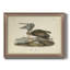 «Brown Pelican» par John Audubon - peinture sur toile encadrée-1259366781-1231816789