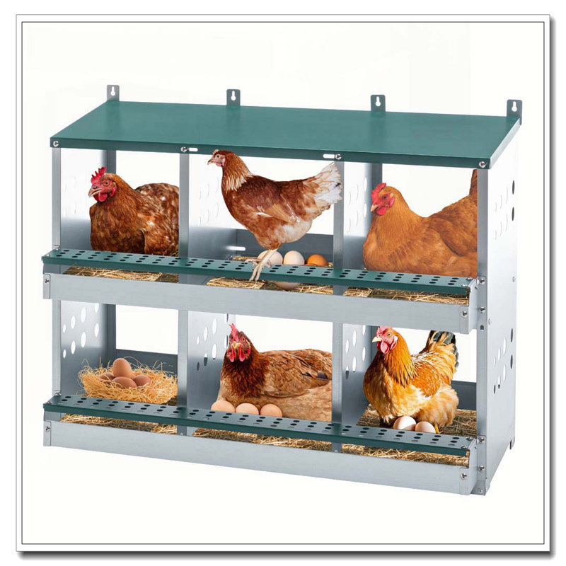 Boîte de nidification à 6 compartiments pour poules pondeuses, boîtes de poules roulantes, vert