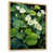 Cadre naturel flottant