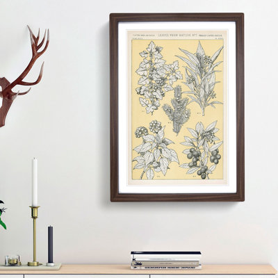 Leaves from Nature No. 7 by Owen Jones - Picture Frame Painting Print