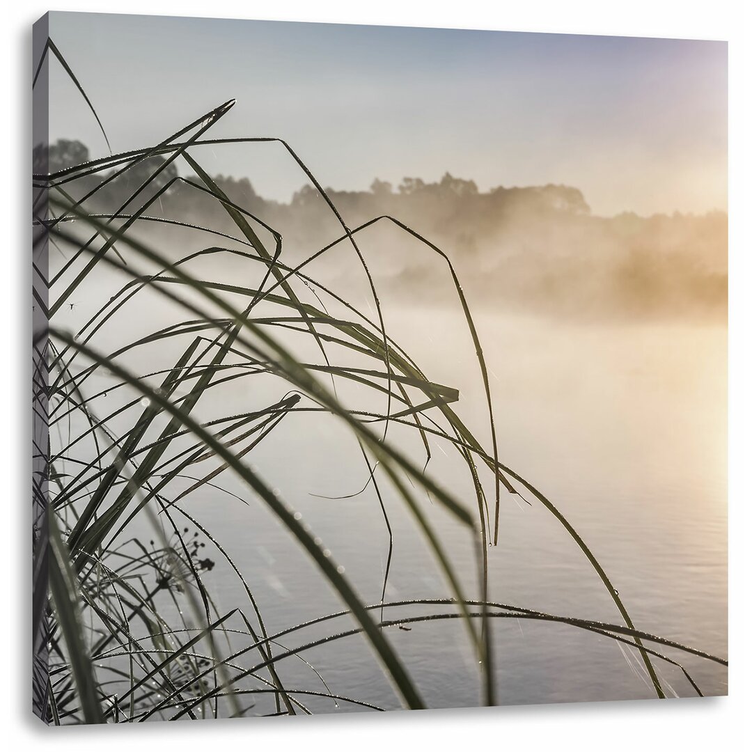 Leinwandbild Wild wachsendes Schneidegras am See