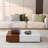 Modern style walnut coffee table with two storage spaces