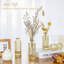 Ensemble de 12 vases en verre Bud-207987545