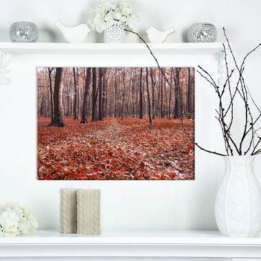 Beautiful Autumn Forest On Canvas Print