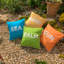 Azevedo Indoor / Outdoor Square Cushion