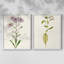 Mauve Garden Flowers III - reproduction encadrée de qualité supérieure - prête à être accrochée - aucun clou requis - aucun clou requis-432901063-432901082