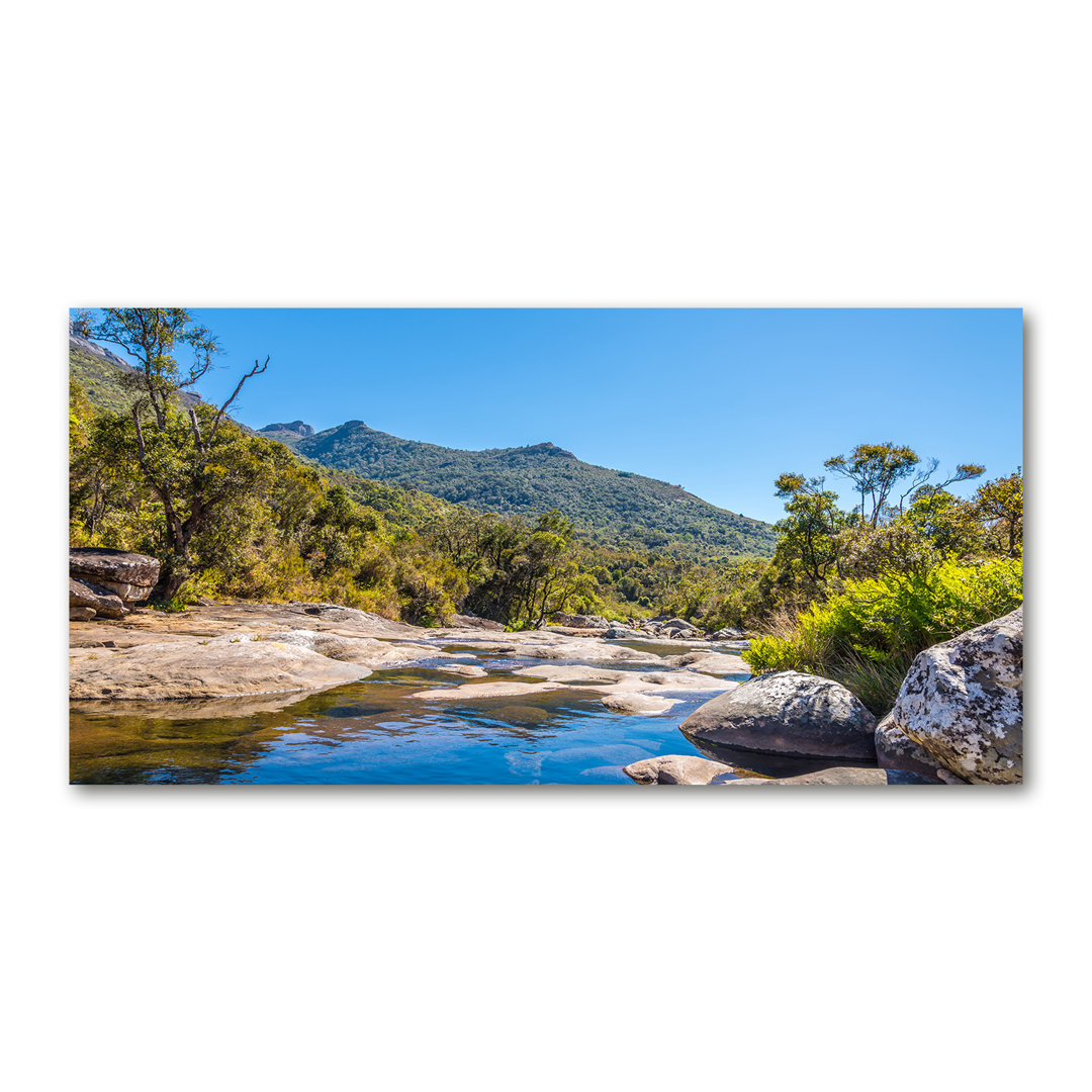 Fluss im Wald - Kunstdrucke auf Leinwand