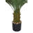 Panama 48" Cycas Palm Tree in Pot