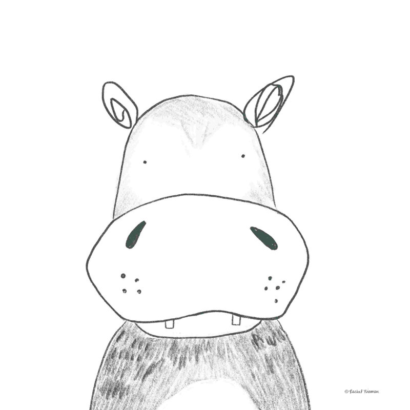 Hippopotame, H 12 po x l 12 po