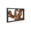 Framed Root Wall Décor