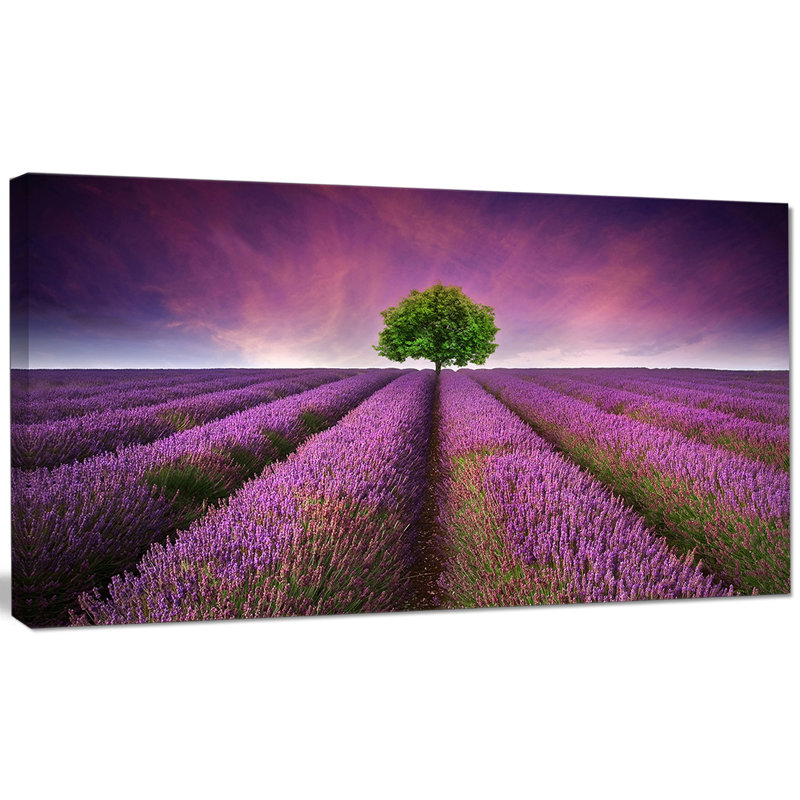 « lavande field coucher de soleil avec simple tree », reproduction de photo sur toile tendue, H 8 po x l 12 po x P 1 po