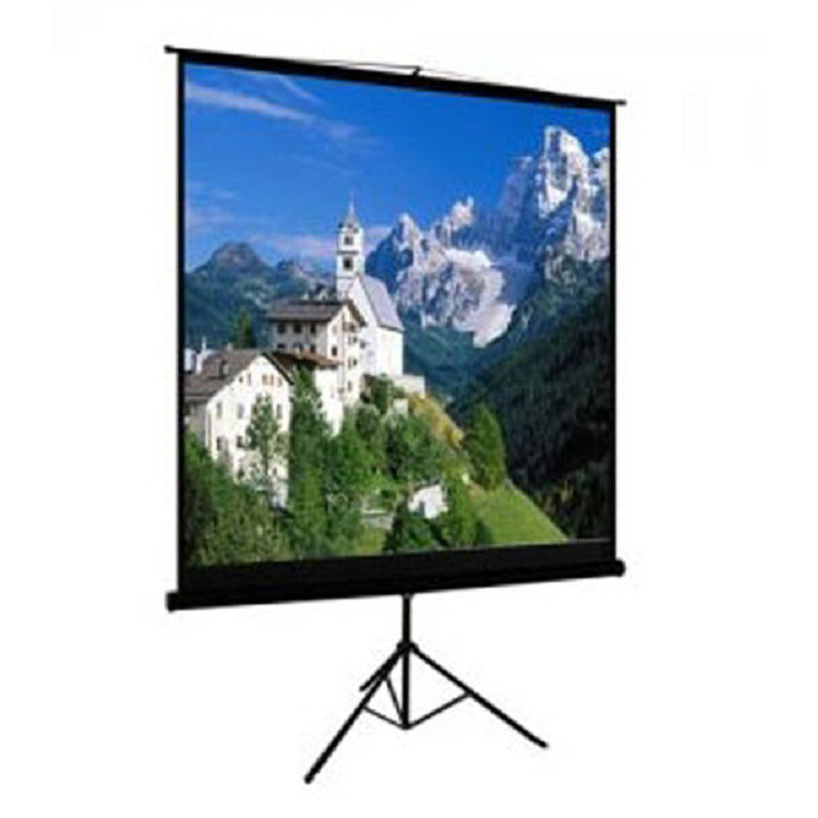 Symple Stuff Portable Projector Screen Projector Screen, 84" H x 84" W