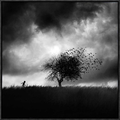 " Printemps Perdu " by Sebastien Del Grosso