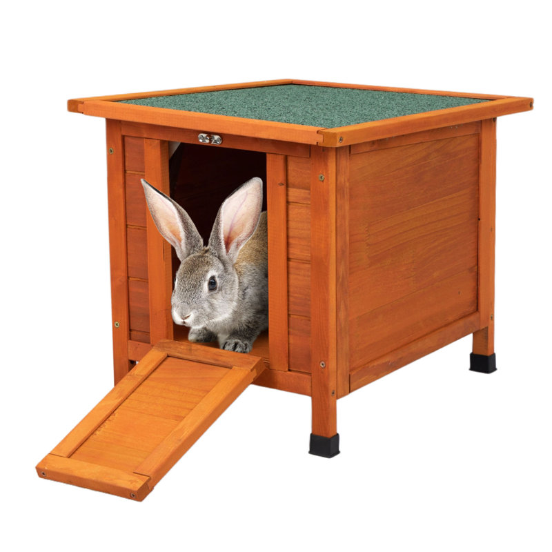 Cage d'extérieur résistante aux intempéries pour chat et lapin avec rampe amovible pour poulets, canards, petits animaux de compagnie - orange