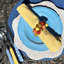 Jubilant Blue/Teal NR P/4-2001294771