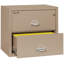 Fireproof 2 - Drawer File Cabinet-331546-217207