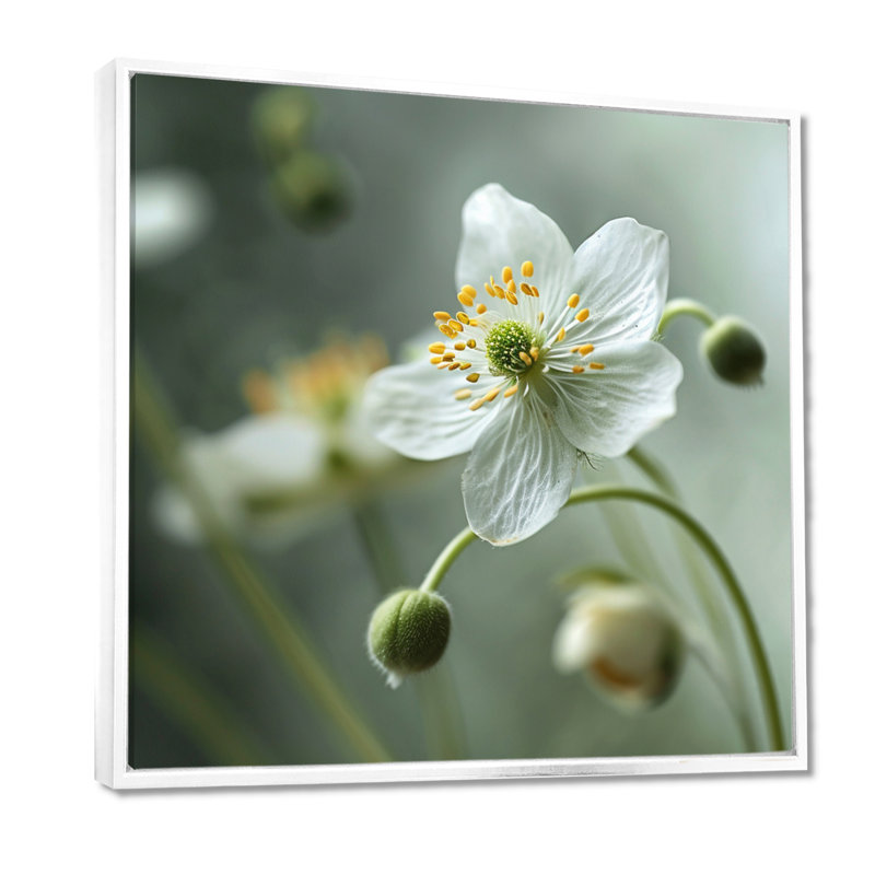 Squelette fleur blanc avec des fils de pollen jaune - Art mural floral salon, Cadre flottant blanc, bois massif