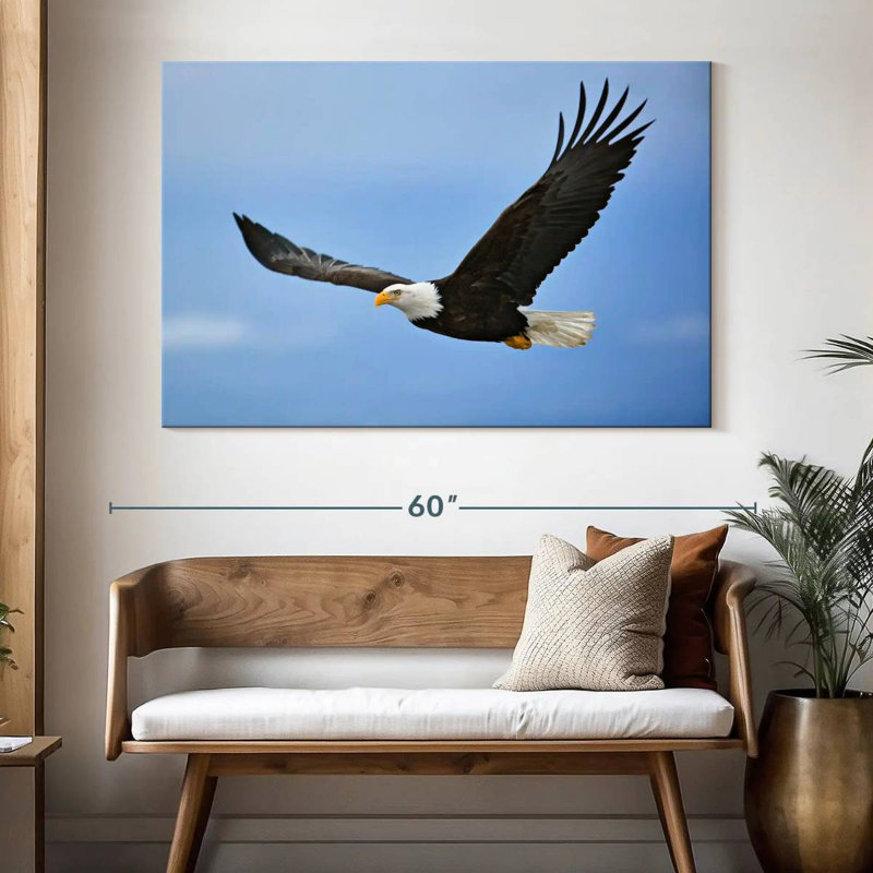 Brampt Gliding Bald Eagle, 34" H x 51" W