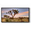Joshua Tree Sunrise - Toile tendue avec châssis tendue, prête à être accrochée-1790203956-1790203912