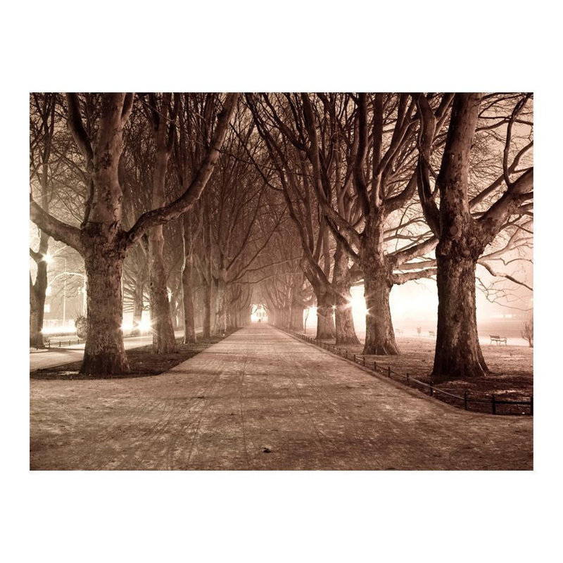 Murale Deakyn Landscape Park Alley, L 121 po x l 157 po