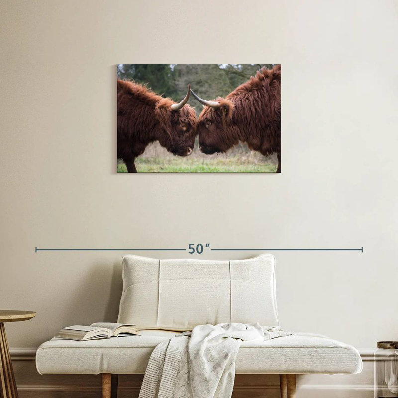Brampt Highland Cow Clash, 20" H x 30" W
