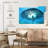 Senne Diving With Fishes-107525403