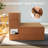 Convertible Sofa Bed with Space-Saving Foldable Design