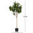 Artificial Lemon Tree For Home Wall