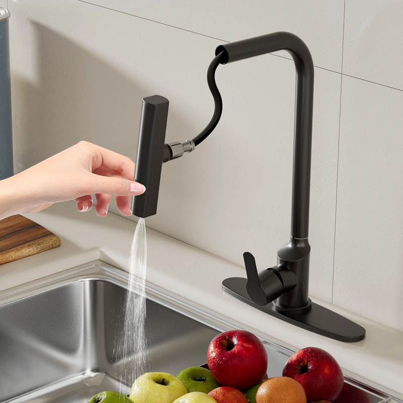 Single Handle Pull Down Kitchen Faucet with Sprayer and Accessories, 1 or 3 Holes, Black
