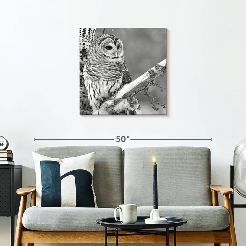 Brampt White Owl BW, 24" H x 24" W