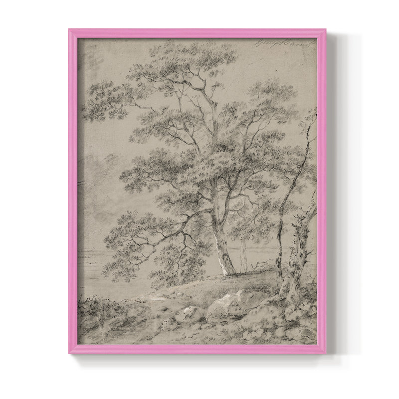 Reproduction encadrée rétro en bois massif Lxxxvii, H 15 po x l 12 po, Rose