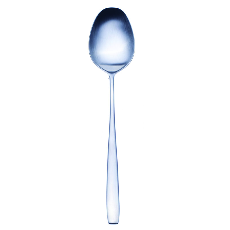 Avanguardia Stainless Steel Serving Spoon, Ice