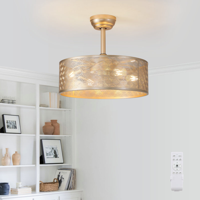 Modern Cage Ceiling Fan Chandelier With Remote Control, Downrod Included: Yes