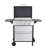 Burner Propane Gas BBQ Grill