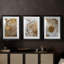ABSTRACT Series Cxxviii - impression sur mesure encadrée de qualité supérieure - 3 pièces-267288284